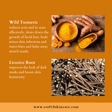 Load image into Gallery viewer, Turmeric + Licorice Bar | Brightening
